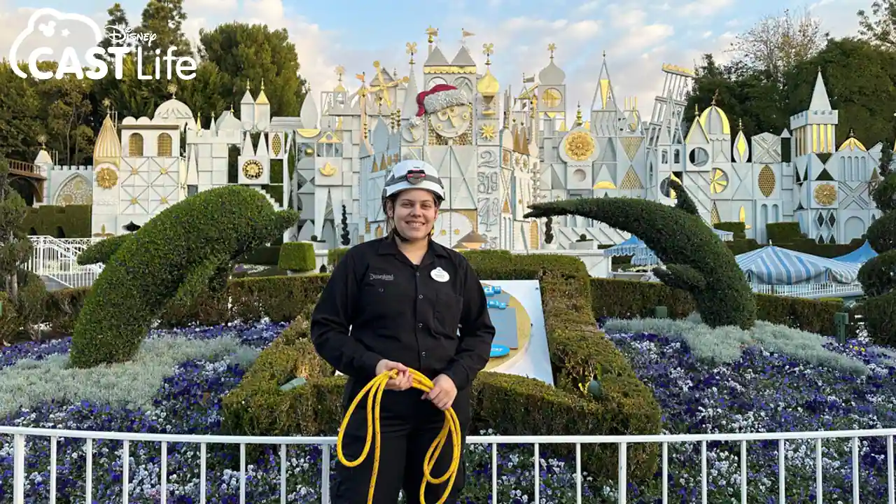 Disney Electronic Technician